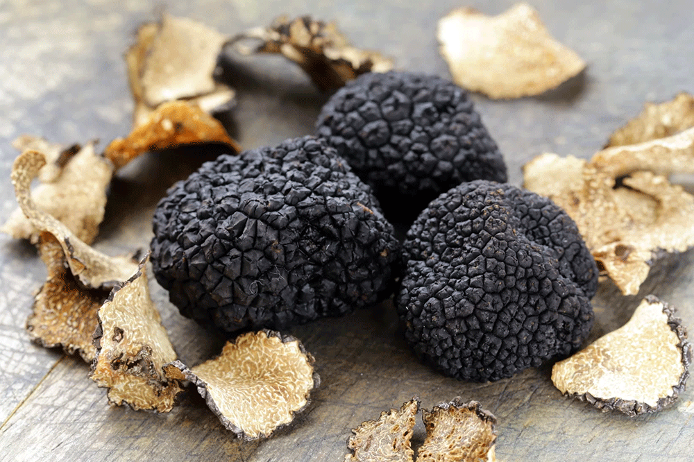 Nấm truffle giá bao nhiêu?